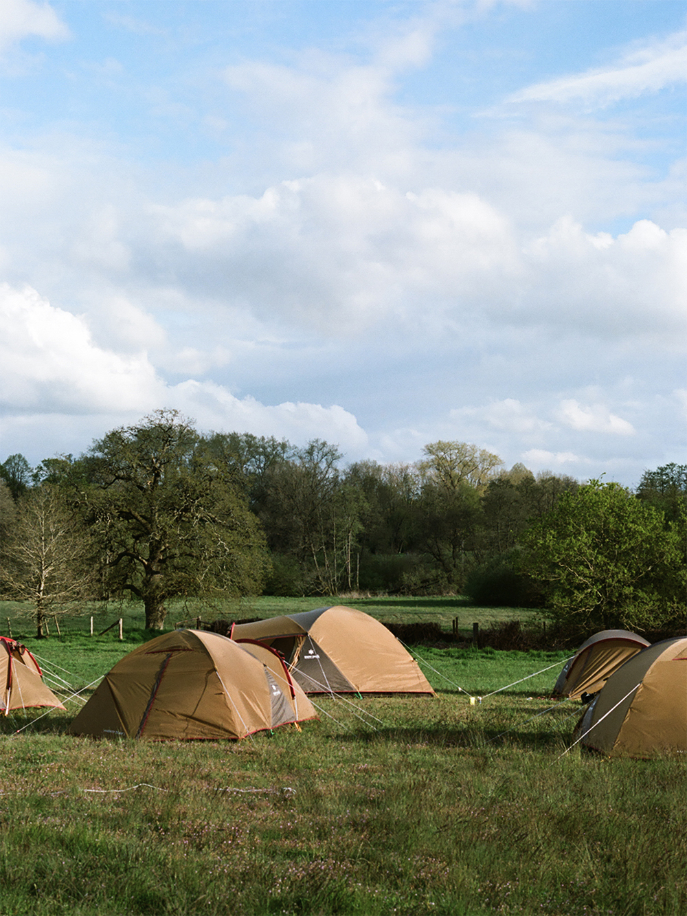 Farm Camp & Accommodation